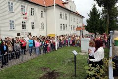 IMG_4715_1