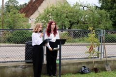 IMG_4718_1