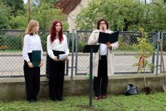 IMG_4719_1