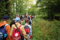 IMG-20250920-WA0004