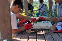 IMG-20250920-WA0008