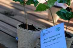 IMG-20250920-WA0011