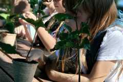 IMG-20250920-WA0012