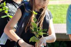 IMG-20250920-WA0020