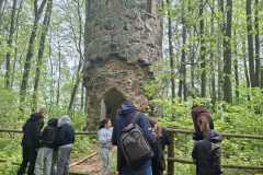 IMG-20260519-WA0003