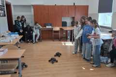 IMG-20260519-WA0009