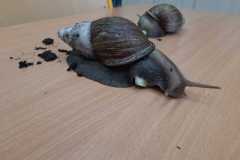 IMG-20211020-WA0000