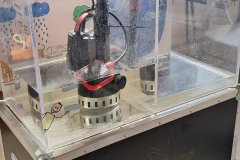 Sztynort_2026_199f651d-d70e-4580-87c6-ad4575aa1bb6_007