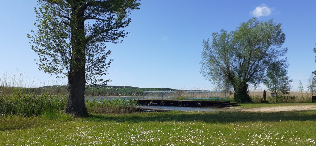 PIESZA WYCIECZKA KLASY V DO LEŚNIEWA