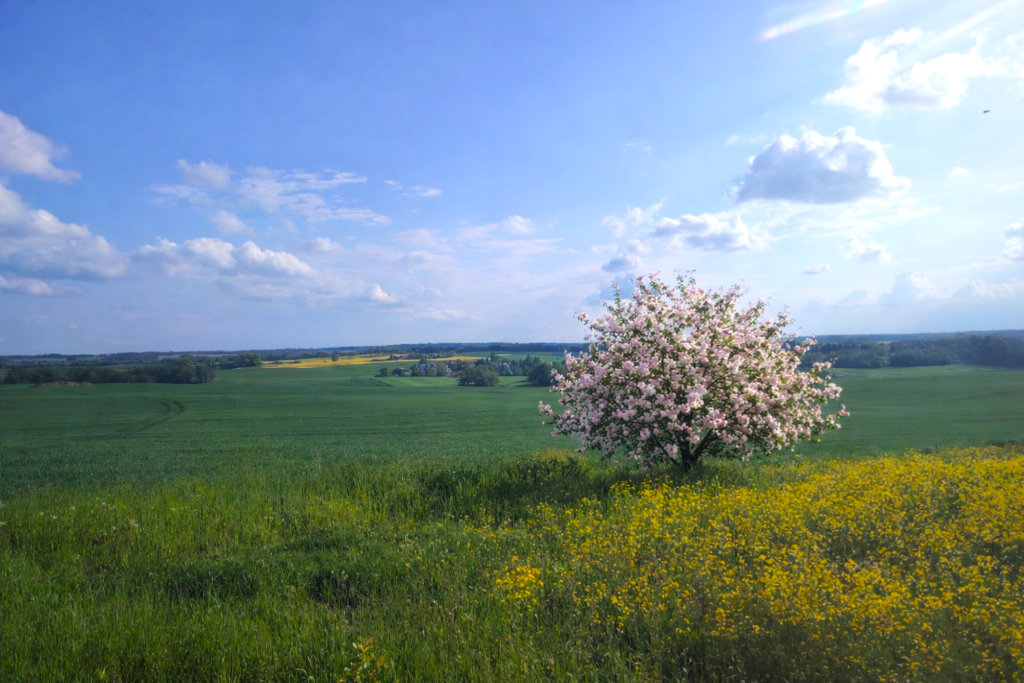 PIĘKNIE I WIOSENNIE – WYNIKI